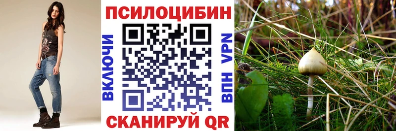 где купить   Чёрмоз  hydra вход  Псилоцибиновые грибы прущие грибы 